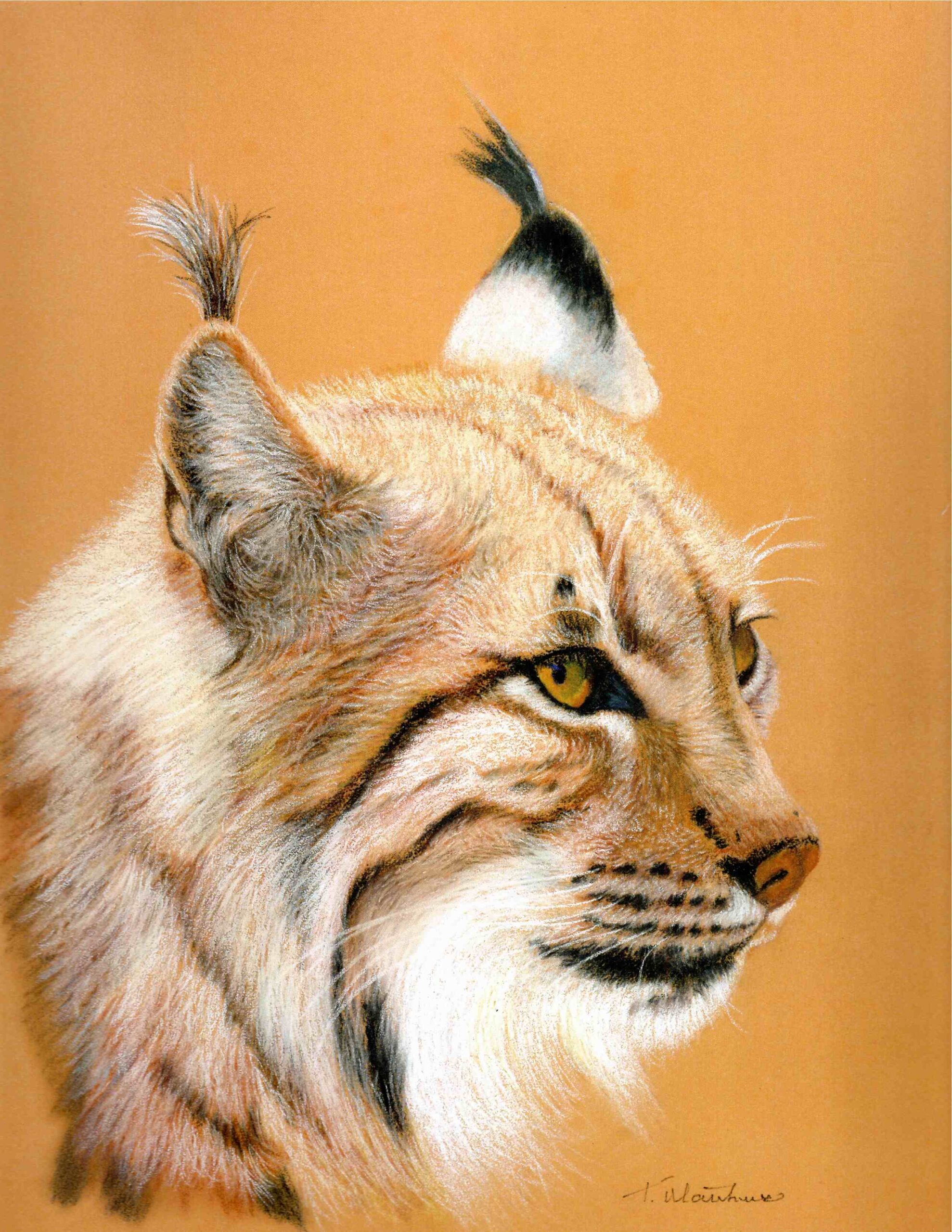 Wild Life workshop with Pastels